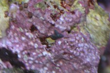 _JOE2718 (Large).jpg