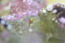 _JOE2724 (Large).jpg