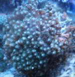 IMG_2954.jpg