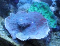 IMG_2955.jpg