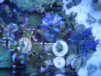 DSCF4660.jpg