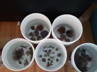 2011-01-21 10.45.05.jpg