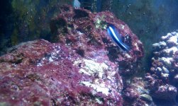 IMAG0369 (Large).jpg