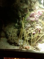 Full Prison Pic giving an idea of light quality.jpg