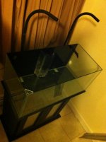 IMG_0233.jpg