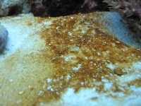 IMG_0118.JPG