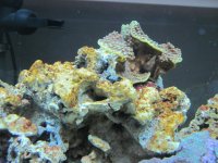 IMG_0119.JPG