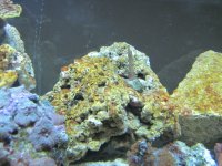 IMG_0120.JPG
