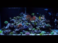 aquarium 341.jpg
