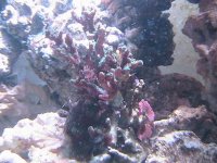 IMG_2770.JPG