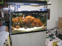 IMG_20110125_0046.jpg
