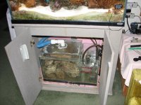 IMG_20110125_0051.jpg