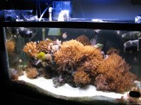 IMG_20110125_0050.jpg
