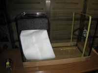 IMG_0075.jpg