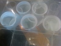 IMG00037-20110512-1840.jpg