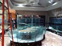 A very different of fish tank from ours A IMG_0911.jpg