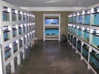 FISHTOPIA JULY 2011 001.jpg