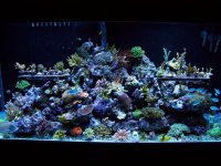 aquarium 258.jpg
