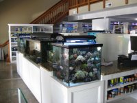 FISHTOPIA JULY 2011 011.jpg