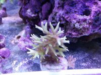 2011-01-31 18.33.06.jpg