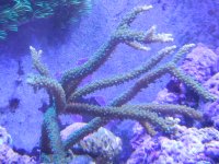 RSCN1012.JPG