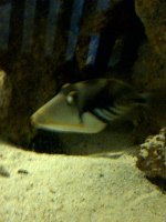 Brooklyn-20110516-00048.jpg