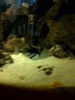 Brooklyn-20110516-00046.jpg