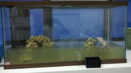 2011-05-02_19-49-11_481.jpg