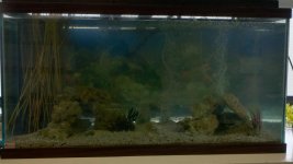 2011-05-04_16-27-20_515.jpg