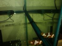 IMG00046-20110315-0512.jpg