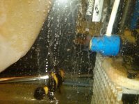 IMG00145-20110401-1016.jpg