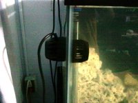 2011-02-01 23.38.02.jpg