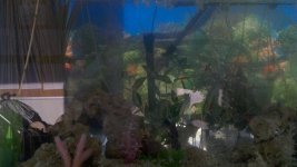 2011-05-12_18-48-06_883.jpg