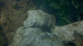 2011-05-13_20-34-45_867.jpg