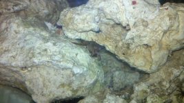 2011-05-13_20-34-54_162.jpg