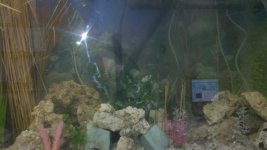2011-05-13_20-38-02_977.jpg