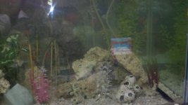 2011-05-13_20-38-24_769.jpg
