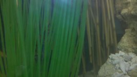 2011-05-13_20-50-15_924.jpg