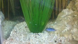 2011-05-13_20-50-43_413.jpg