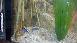 2011-05-13_20-51-07_313.jpg