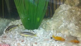 2011-05-13_20-51-23_53.jpg