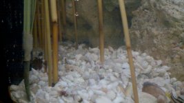 2011-05-13_21-00-55_583.jpg