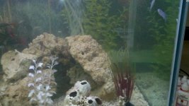 2011-05-13_21-01-10_876.jpg