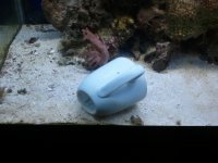2011-05-18 17.57.08.jpg