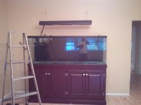 2011-06-29 19.51.02.jpg