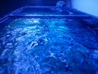 2011-07-20 00.56.54.jpg
