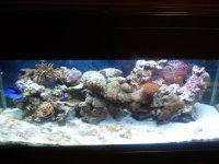 2011-01-14 16.46.50.jpg