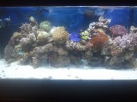 2011-03-09 16.06.46.jpg