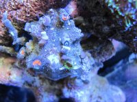 IMG_0156.jpg
