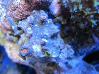 IMG_0158.jpg
